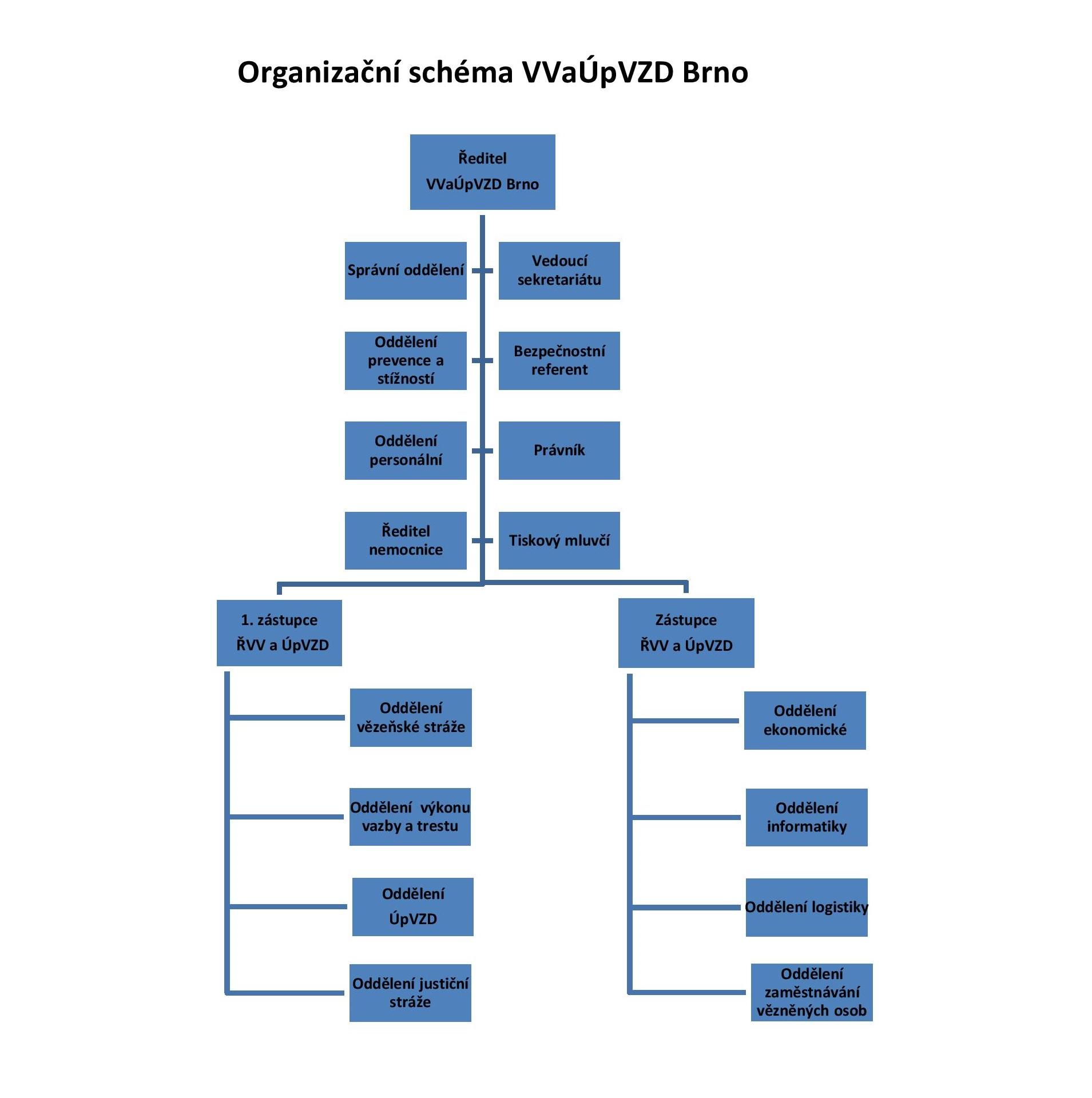 Organizační struktura