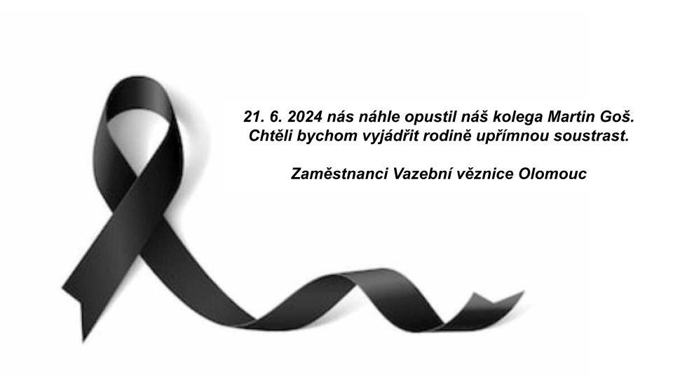 https://www.vscr.cz/media/organizacni-jednotky/olomouc/aktuality/martin-gos/prezentace-bez-nazvu.jpg